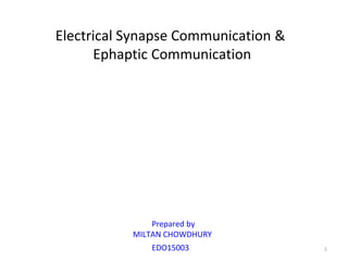 Electrical Synapse Communication &
Ephaptic Communication
Prepared by
MILTAN CHOWDHURY
EDO15003 1
 