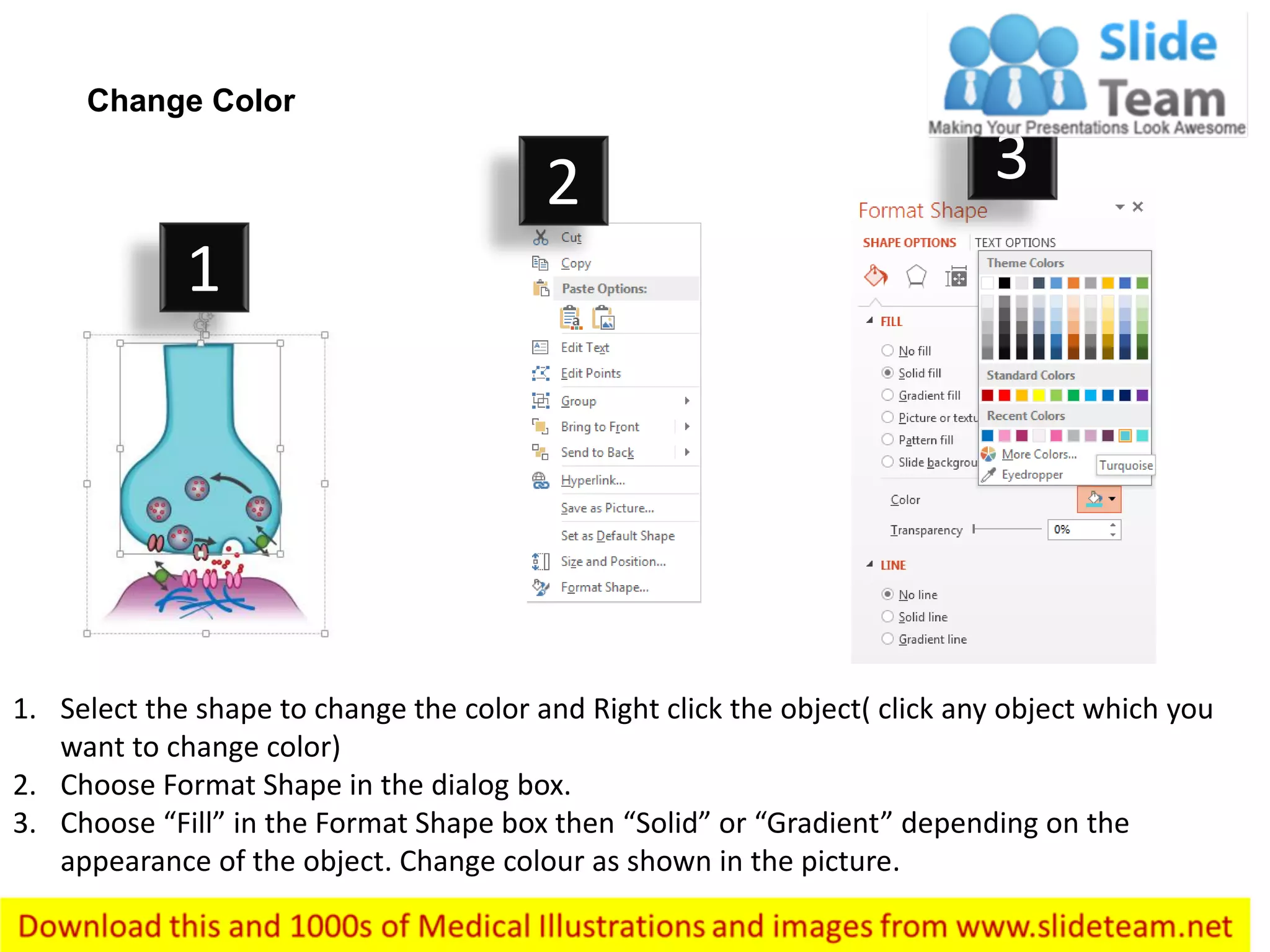 Synapse nervous system medical images for power point | PDF