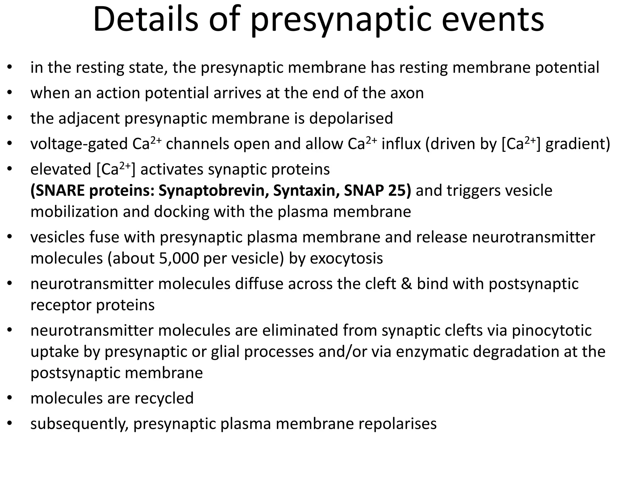 Details of presynaptic events
• in the resting state, the presynaptic membrane has resting membrane potential
• when an action potential arrives at the end of the axon
• the adjacent presynaptic membrane is depolarised
• voltage-gated Ca2+ channels open and allow Ca2+ influx (driven by [Ca2+] gradient)
• elevated [Ca2+] activates synaptic proteins
(SNARE proteins: Synaptobrevin, Syntaxin, SNAP 25) and triggers vesicle
mobilization and docking with the plasma membrane
• vesicles fuse with presynaptic plasma membrane and release neurotransmitter
molecules (about 5,000 per vesicle) by exocytosis
• neurotransmitter molecules diffuse across the cleft & bind with postsynaptic
receptor proteins
• neurotransmitter molecules are eliminated from synaptic clefts via pinocytotic
uptake by presynaptic or glial processes and/or via enzymatic degradation at the
postsynaptic membrane
• molecules are recycled
• subsequently, presynaptic plasma membrane repolarises
 