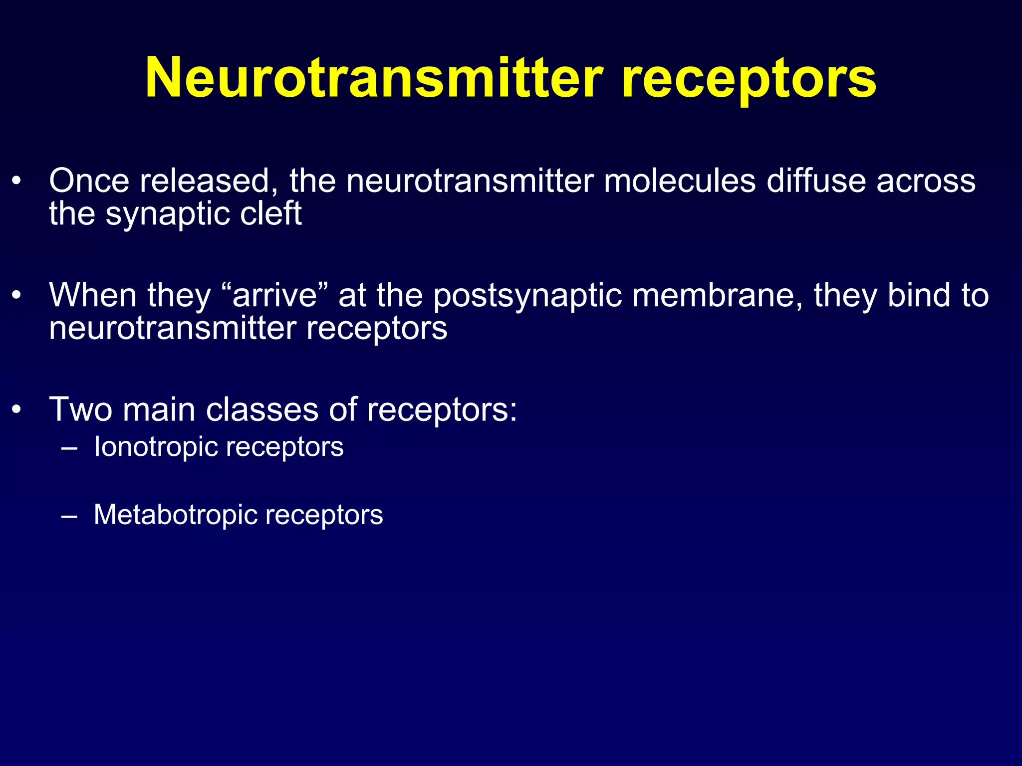 Neurotransmitter receptors
• Once released, the neurotransmitter molecules diffuse across
the synaptic cleft
• When they “arrive” at the postsynaptic membrane, they bind to
neurotransmitter receptors
• Two main classes of receptors:
– Ionotropic receptors
– Metabotropic receptors
 
