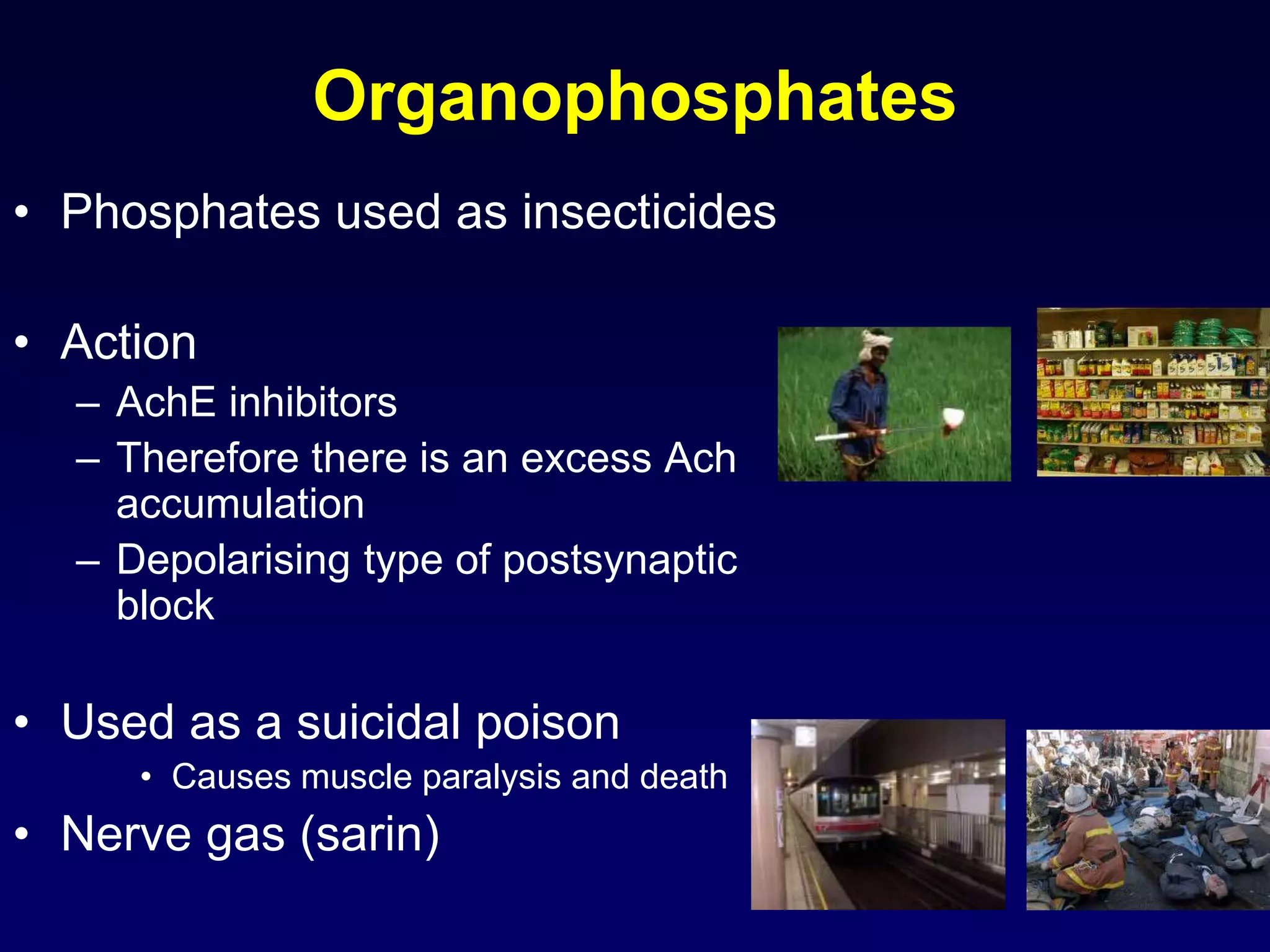 Organophosphates
• Phosphates used as insecticides
• Action
– AchE inhibitors
– Therefore there is an excess Ach
accumulation
– Depolarising type of postsynaptic
block
• Used as a suicidal poison
• Causes muscle paralysis and death
• Nerve gas (sarin)
 