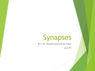 Synapses
BY : Dr. Muhammad Sohail Raza
M.S PT
 