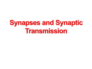 Synapses and Synaptic
Transmission
 