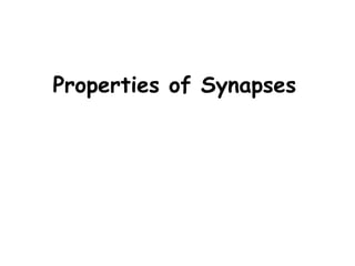 Properties of Synapses
 