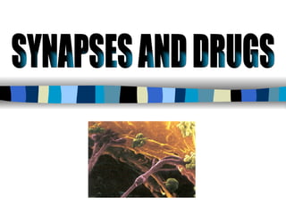SYNAPSES AND DRUGS 