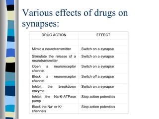 Various effects of drugs on synapses:   DRUG ACTION EFFECT     Mimic a neurotransmitter Switch on a synapse Stimulate the release of a neurotransmitter Switch on a synapse Open a neuroreceptor channel Switch on a synapse Block a neuroreceptor channel Switch off a synapse Inhibit the breakdown enzyme Switch on a synapse Inhibit the Na + K + ATPase pump Stop action potentials Block the Na +  or K +  channels Stop action potentials 