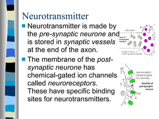 Neurotransmitter Neurotransmitter is made by the  pre-synaptic neurone  and is stored in  synaptic vessels  at the end of the axon. The membrane of the  post-synaptic neurone  has chemical-gated ion channels called  neuroreceptors .  These have specific binding sites for neurotransmitters. 