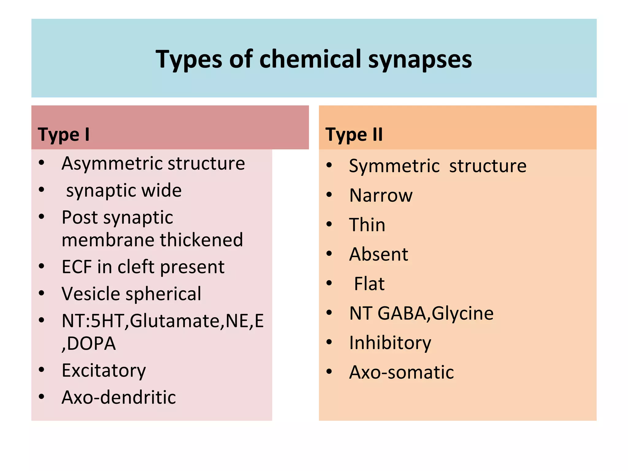 Types of chemical synapses
Type I
• Asymmetric structure
• synaptic wide
• Post synaptic
membrane thickened
• ECF in cleft present
• Vesicle spherical
• NT:5HT,Glutamate,NE,E
,DOPA
• Excitatory
• Axo-dendritic
Type II
• Symmetric structure
• Narrow
• Thin
• Absent
• Flat
• NT GABA,Glycine
• Inhibitory
• Axo-somatic
 
