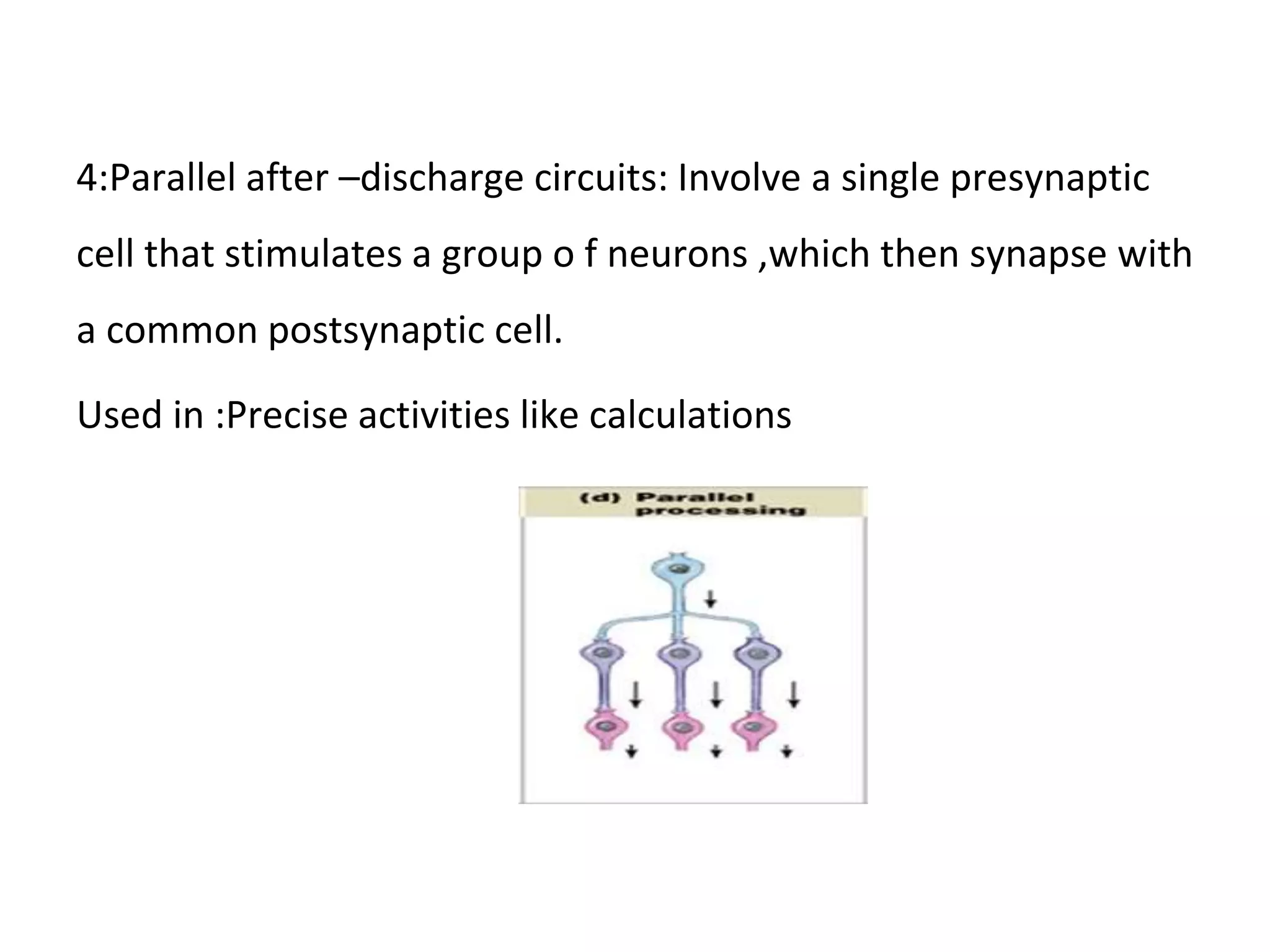 4:Parallel after –discharge circuits: Involve a single presynaptic
cell that stimulates a group o f neurons ,which then synapse with
a common postsynaptic cell.
Used in :Precise activities like calculations
 