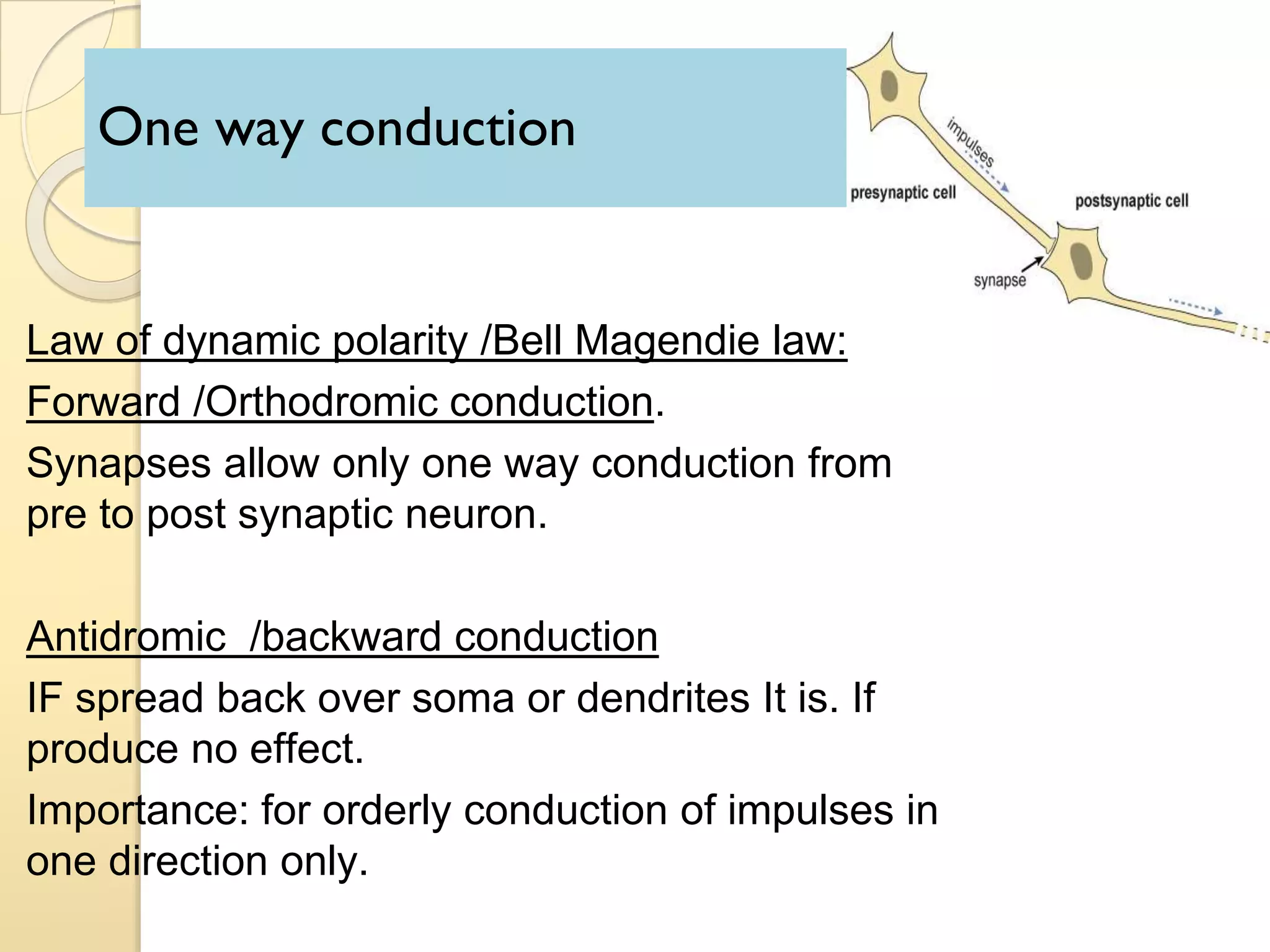 One way conduction
Law of dynamic polarity /Bell Magendie law:
Forward /Orthodromic conduction.
Synapses allow only one way conduction from
pre to post synaptic neuron.
Antidromic /backward conduction
IF spread back over soma or dendrites It is. If
produce no effect.
Importance: for orderly conduction of impulses in
one direction only.
 