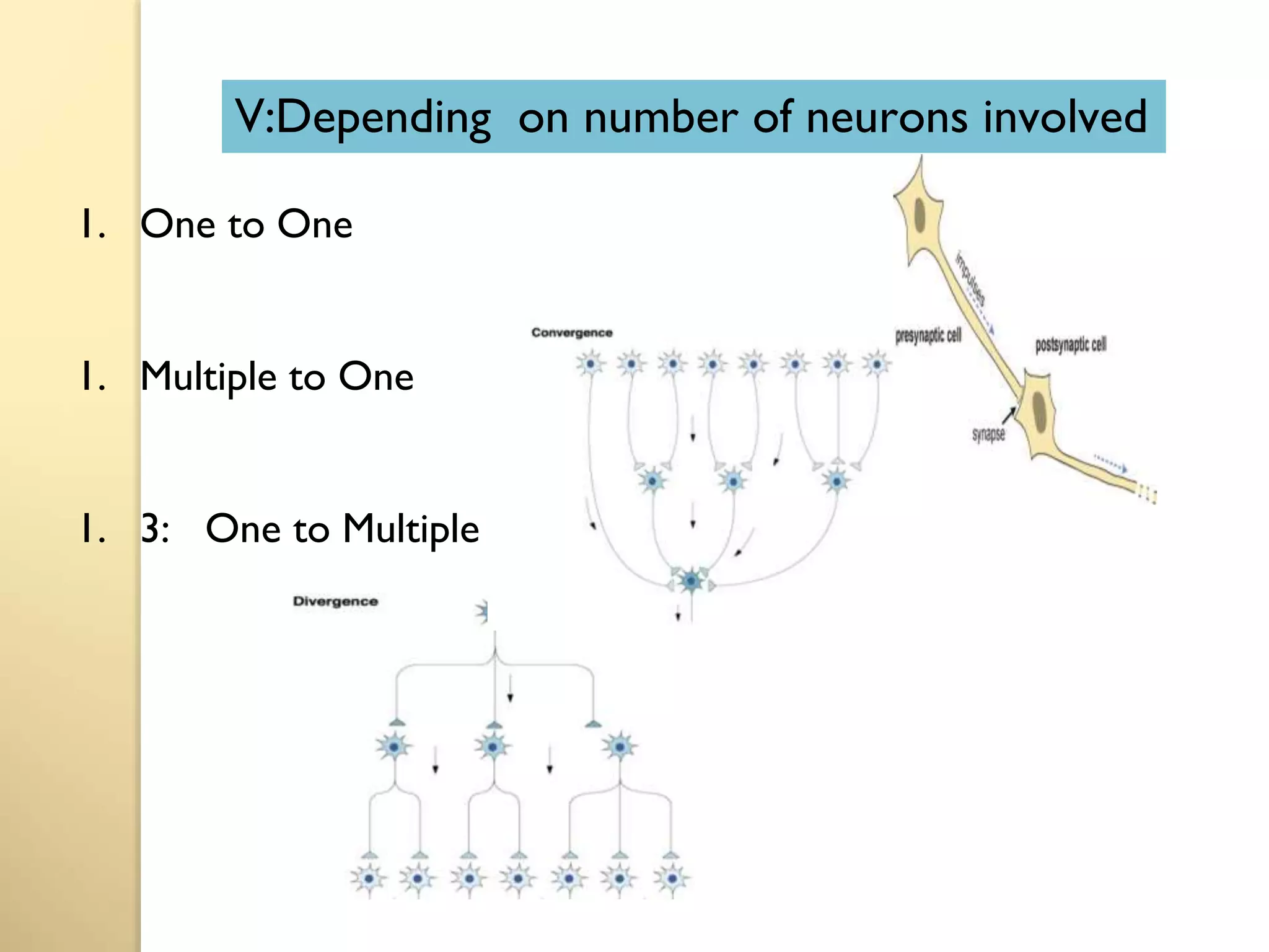 1. One to One
1. Multiple to One
1. 3: One to Multiple
V:Depending on number of neurons involved
 