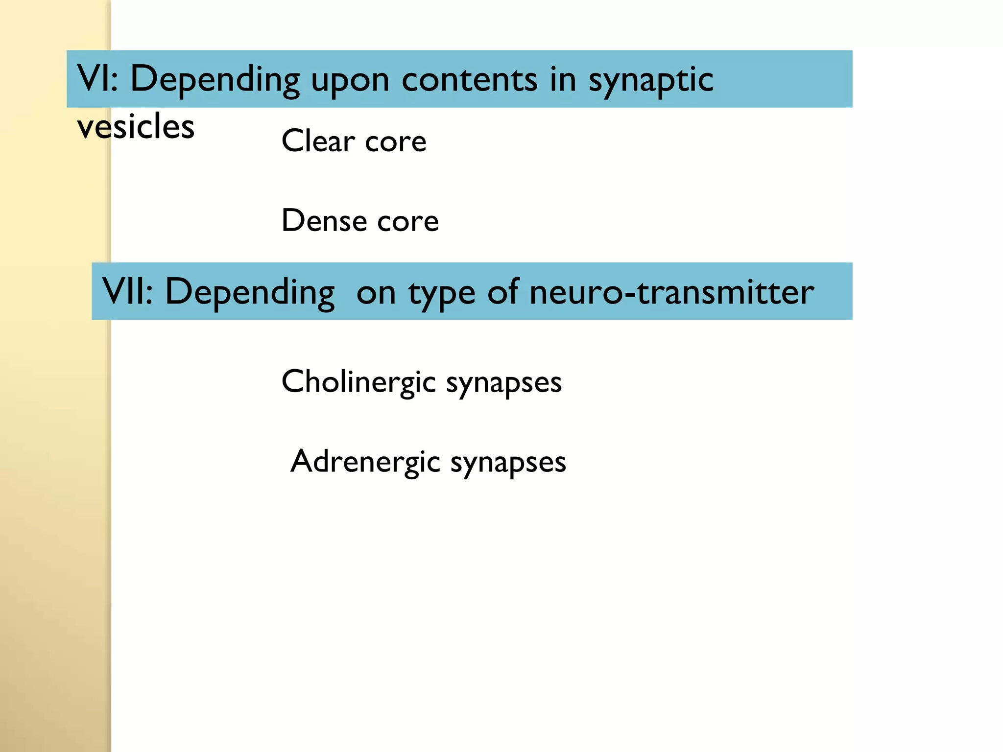 Clear core
Dense core
Cholinergic synapses
Adrenergic synapses
VI: Depending upon contents in synaptic
vesicles
VII: Depending on type of neuro-transmitter
 