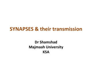 SYNAPSES & their transmission
Dr Shamshad
Majmaah University
KSA
 