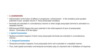 SYNAPSE_STRUCTURE_FUNCTION_MECHANISM_TRANSMISSION | PPTX
