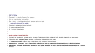 SYNAPSE_STRUCTURE_FUNCTION_MECHANISM_TRANSMISSION | PPTX