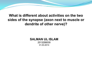 What is different about activities on the two
sides of the synapse (axon next to muscle or
dendrite of other nerve)?
SALMAN UL ISLAM
2013298039
31.03.2014
 