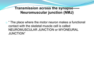 Transmission across the synapse-----
Neuromuscular junction (NMJ)
o “ The place where the motor neuron makes a functional
contact with the skeletal muscle cell is called
NEUROMUSCULAR JUNCTION or MYONEURAL
JUNCTION”
 