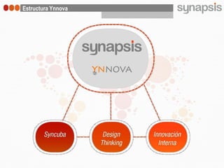 Estructura Ynnova
 