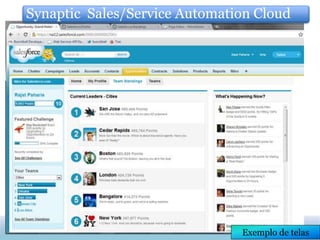 Synaptic Sales/Service Automation Cloud




                               Exemplo de telas
 