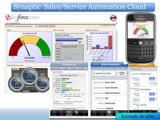 Synaptic Sales/Service Automation Cloud




                               Exemplo de telas
 