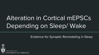 Alteration in Cortical mEPSCs
Depending on Sleep/ Wake
Evidence for Synaptic Remodeling in Sleep
CSB445: Kathleen Harrison
 