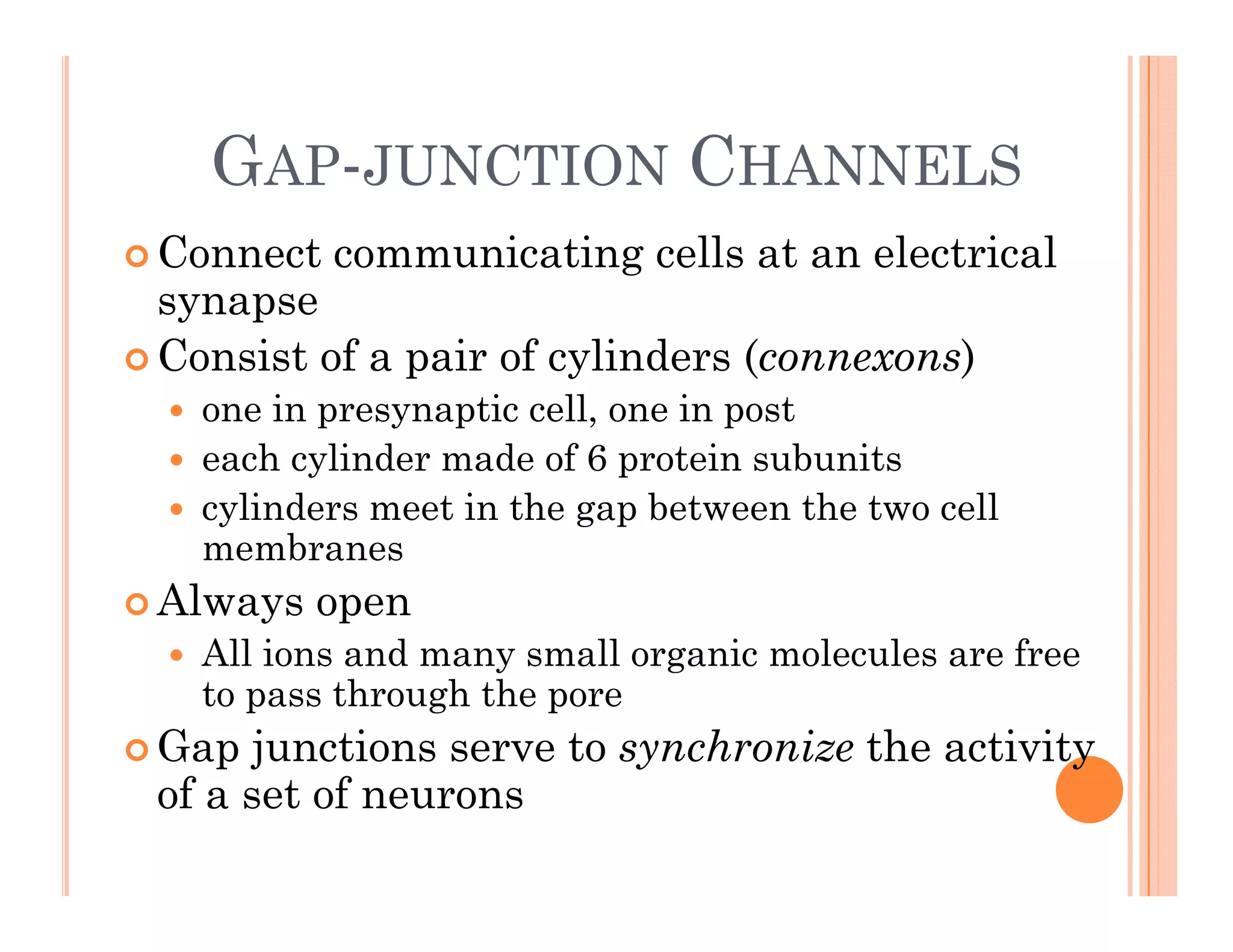 GAP-JUNCTION CHANNELS
GAP JUNCTION CHANNELS
 Connect communicating cells at an electrical
synapse
synapse
 Consist of a pair of cylinders (connexons)
 one in presynaptic cell one in post
 one in presynaptic cell, one in post
 each cylinder made of 6 protein subunits
 cylinders meet in the gap between the two cell
b
membranes
 Always open
 All ions and many small organic molecules are free
 All ions and many small organic molecules are free
to pass through the pore
 Gap junctions serve to synchronize the activity
of a set of neurons
 