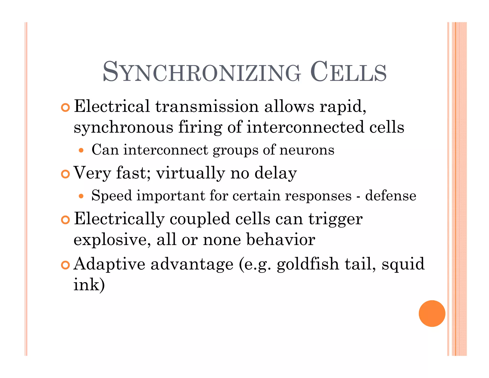 SYNCHRONIZING CELLS
SYNCHRONIZING CELLS
 Electrical transmission allows rapid,
synchronous firing of interconnected cells
 Can interconnect groups of neurons
 Very fast; virtually no delay
 Speed important for certain responses - defense
El i ll l d ll i
 Electrically coupled cells can trigger
explosive, all or none behavior
Ad ti d t ( ldfi h t il id
 Adaptive advantage (e.g. goldfish tail, squid
ink)
 