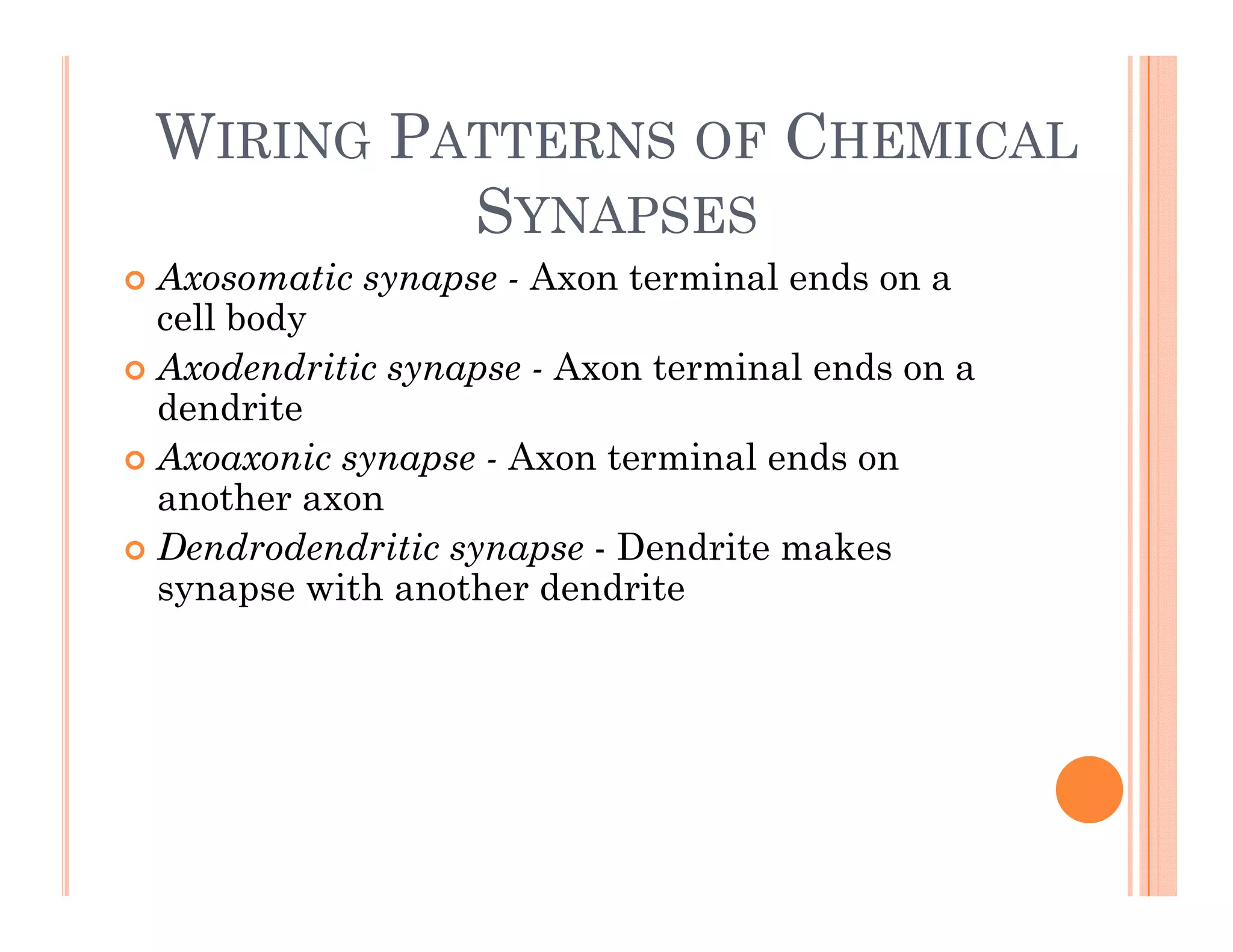 WIRING PATTERNS OF CHEMICAL
SYNAPSES
 Axosomatic synapse - Axon terminal ends on a
y p
cell body
 Axodendritic synapse - Axon terminal ends on a
dendrite
dendrite
 Axoaxonic synapse - Axon terminal ends on
another axon
D d d d i i D d it k
 Dendrodendritic synapse - Dendrite makes
synapse with another dendrite
 