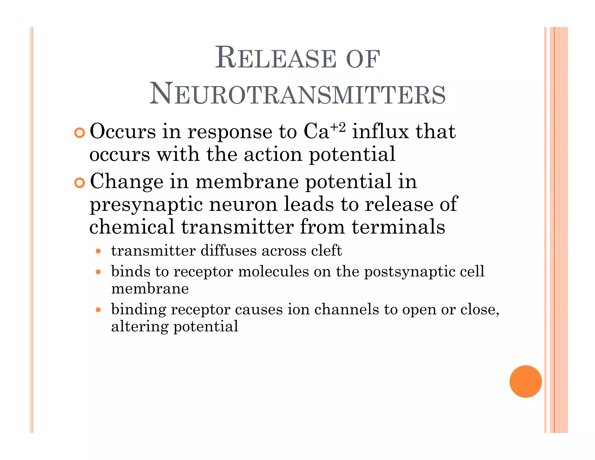 RELEASE OF
N
NEUROTRANSMITTERS
 Occurs in response to Ca+2 influx that
occurs with the action potential
 Change in membrane potential in
e a tic e o lead to elea e of
presynaptic neuron leads to release of
chemical transmitter from terminals
 transmitter diffuses across cleft
 binds to receptor molecules on the postsynaptic cell
membrane
 binding receptor causes ion channels to open or close,
g p p ,
altering potential
 