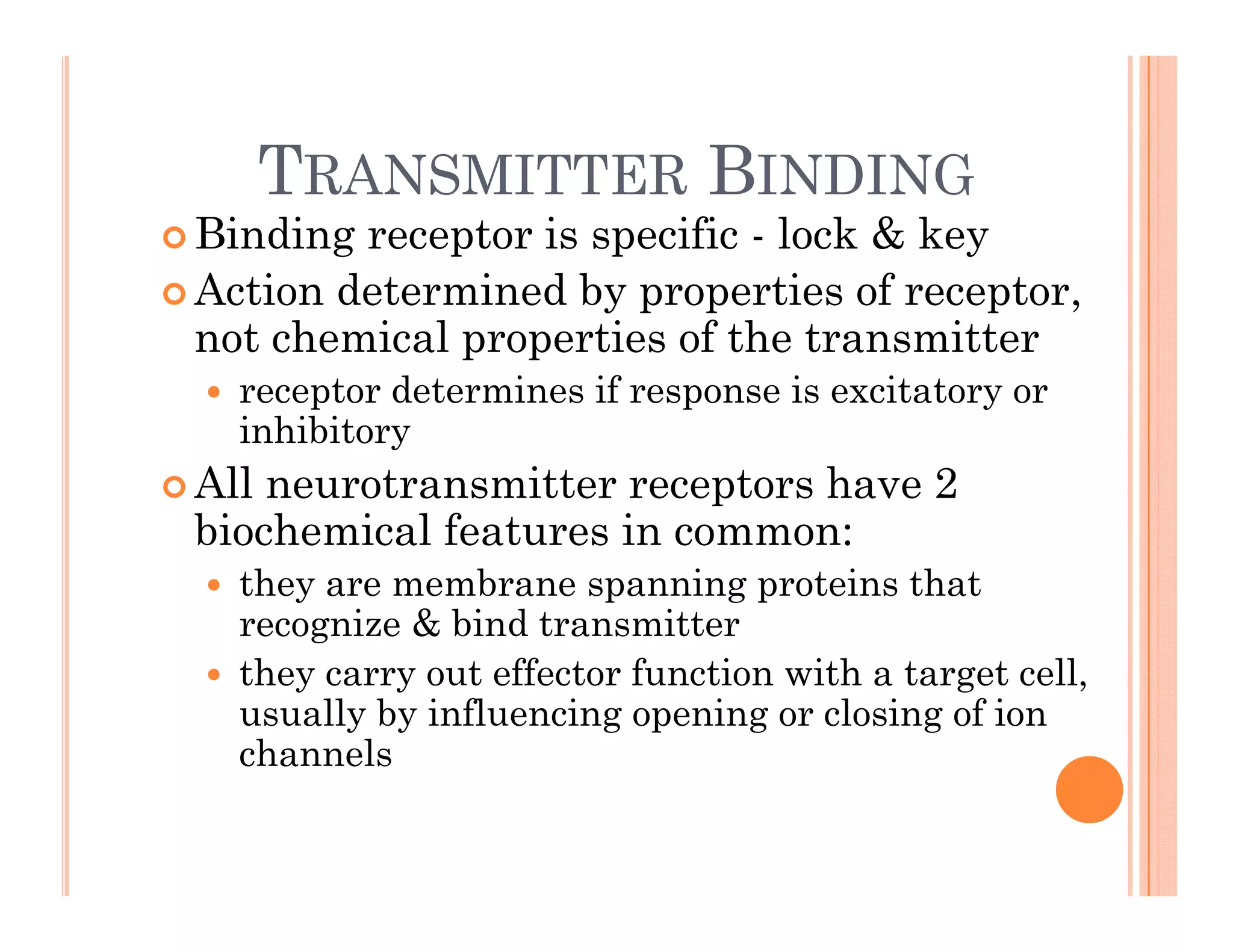TRANSMITTER BINDING
TRANSMITTER BINDING
 Binding receptor is specific - lock & key
 Action determined by properties of receptor
 Action determined by properties of receptor,
not chemical properties of the transmitter
 receptor determines if response is excitatory or
i hibi
inhibitory
 All neurotransmitter receptors have 2
biochemical features in common:
biochemical features in common:
 they are membrane spanning proteins that
recognize & bind transmitter
 they carry out effector function with a target cell,
usually by influencing opening or closing of ion
channels
 