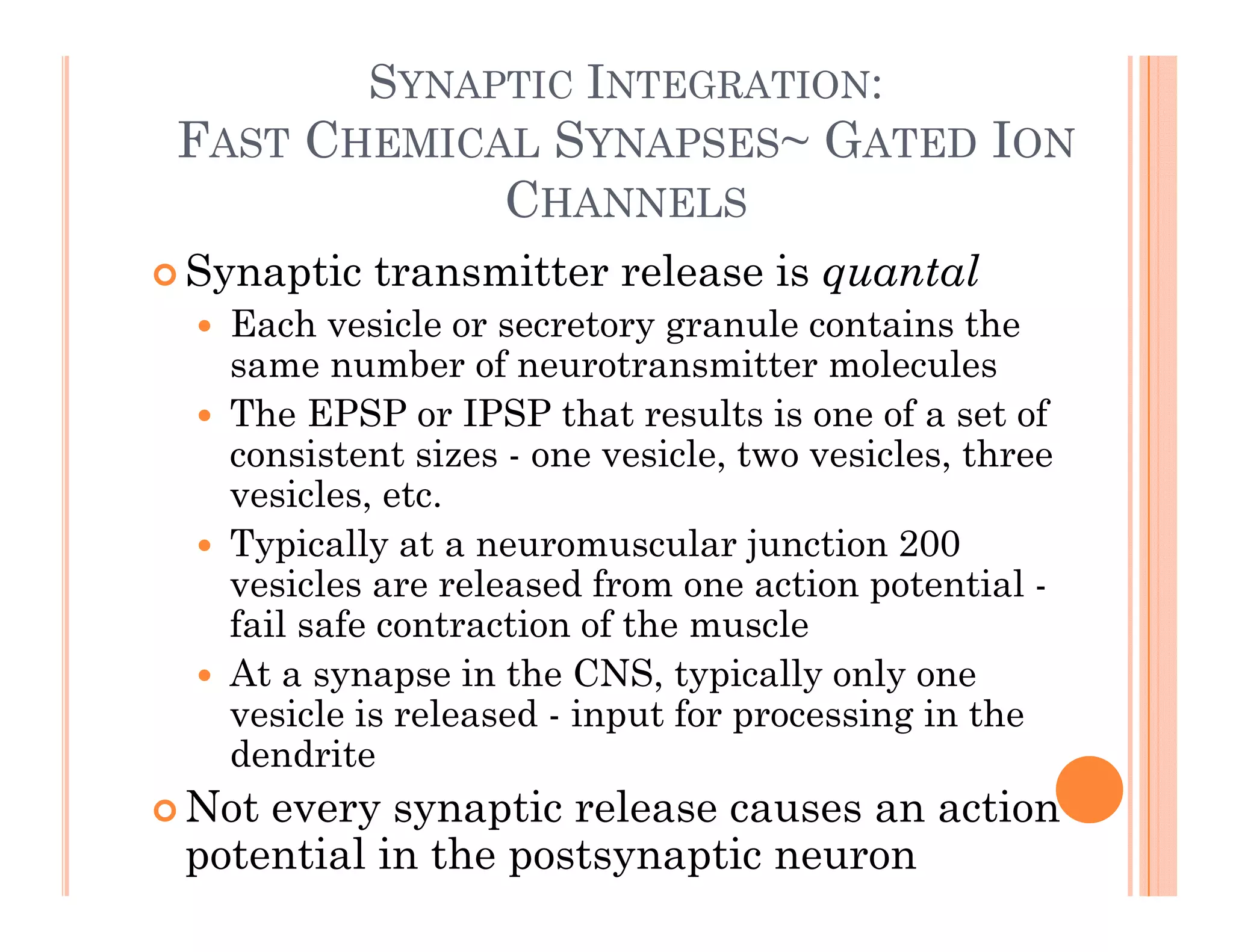 SYNAPTIC INTEGRATION:
FAST CHEMICAL SYNAPSES~ GATED ION
CHANNELS
 Synaptic transmitter release is quantal
 Each vesicle or secretory granule contains the
same number of neurotransmitter molecules
 The EPSP or IPSP that results is one of a set of
 The EPSP or IPSP that results is one of a set of
consistent sizes - one vesicle, two vesicles, three
vesicles, etc.
T i ll t l j ti 200
 Typically at a neuromuscular junction 200
vesicles are released from one action potential -
fail safe contraction of the muscle
 At a synapse in the CNS, typically only one
vesicle is released - input for processing in the
dendrite
 Not every synaptic release causes an action
potential in the postsynaptic neuron
 