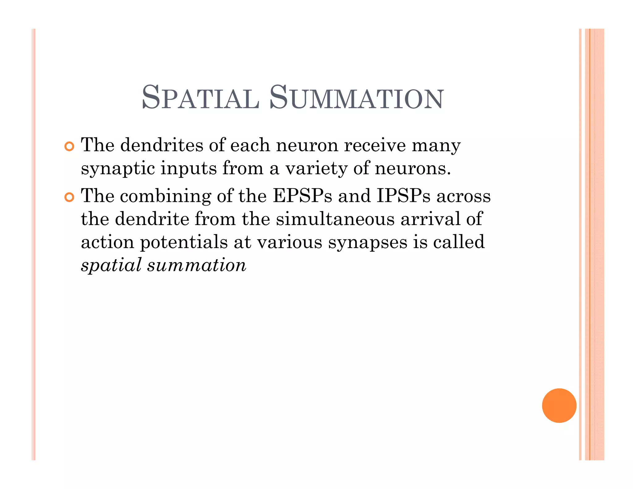 SPATIAL SUMMATION
SPATIAL SUMMATION
 The dendrites of each neuron receive many
y
synaptic inputs from a variety of neurons.
 The combining of the EPSPs and IPSPs across
th d d it f th i lt i l f
the dendrite from the simultaneous arrival of
action potentials at various synapses is called
spatial summation
 