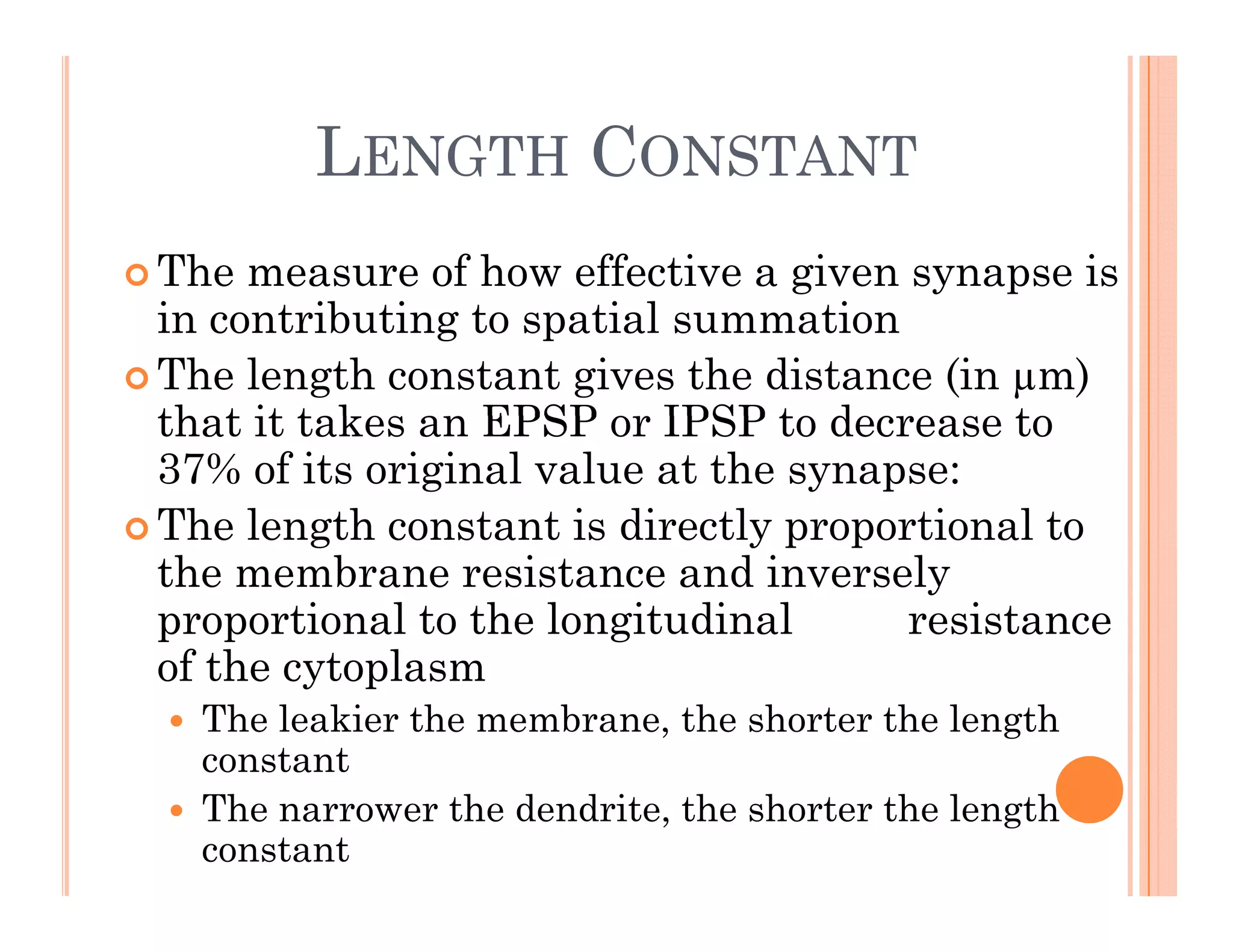 LENGTH CONSTANT
G CO S
 The measure of how effective a given synapse is
in contributing to spatial summation
 The length constant gives the distance (in µm)
that it take a EPSP o IPSP to dec ea e to
that it takes an EPSP or IPSP to decrease to
37% of its original value at the synapse:
 The length constant is directly proportional to
 The length constant is directly proportional to
the membrane resistance and inversely
proportional to the longitudinal resistance
f th t l
of the cytoplasm
 The leakier the membrane, the shorter the length
constant
 The narrower the dendrite, the shorter the length
constant
 