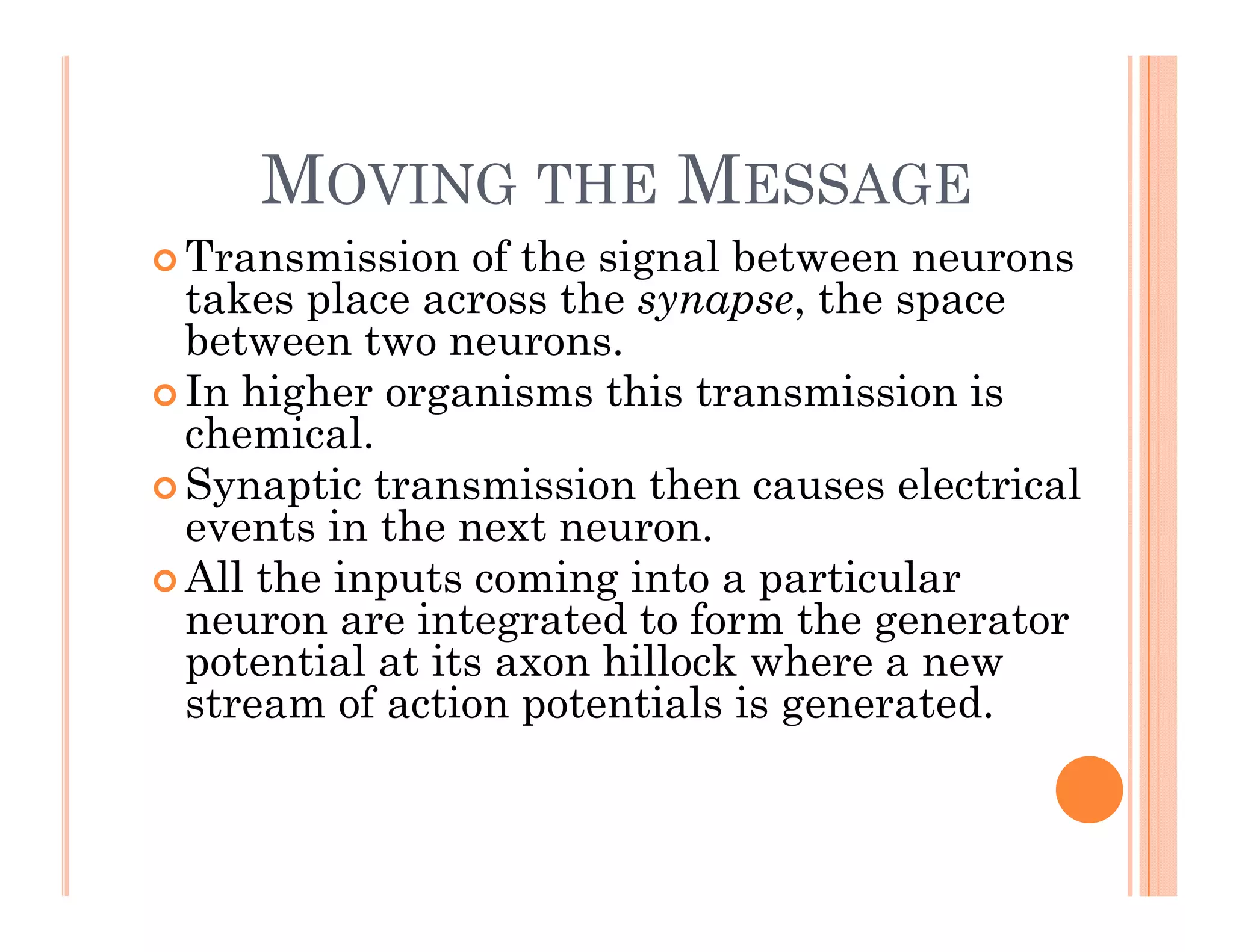 MOVING THE MESSAGE
MOVING THE MESSAGE
 Transmission of the signal between neurons
takes place across the synapse the space
takes place across the synapse, the space
between two neurons.
 In higher organisms this transmission is
chemical.
 Synaptic transmission then causes electrical
events in the next neuron
events in the next neuron.
 All the inputs coming into a particular
neuron are integrated to form the generator
potential at its a on hillock here a ne
potential at its axon hillock where a new
stream of action potentials is generated.
 