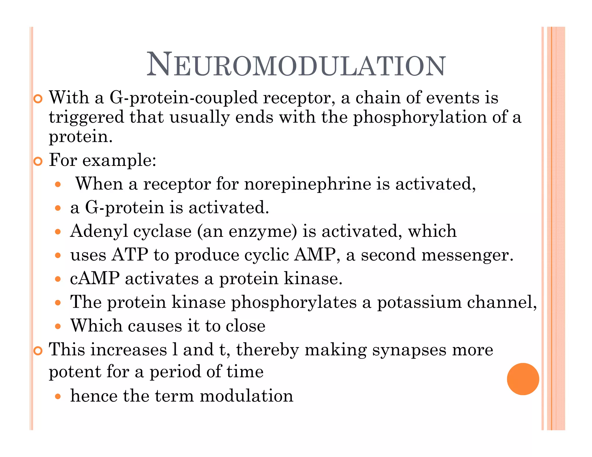 NEUROMODULATION
 With a G-protein-coupled receptor, a chain of events is
triggered that usually ends with the phosphorylation of a
protein.
protein.
 For example:
 When a receptor for norepinephrine is activated,
 a G-protein is activated.
 Adenyl cyclase (an enzyme) is activated, which
 uses ATP to produce cyclic AMP a second messenger
 uses ATP to produce cyclic AMP, a second messenger.
 cAMP activates a protein kinase.
 The protein kinase phosphorylates a potassium channel,
 Which causes it to close
 This increases l and t, thereby making synapses more
potent for a period of time
potent for a period of time
 hence the term modulation
 