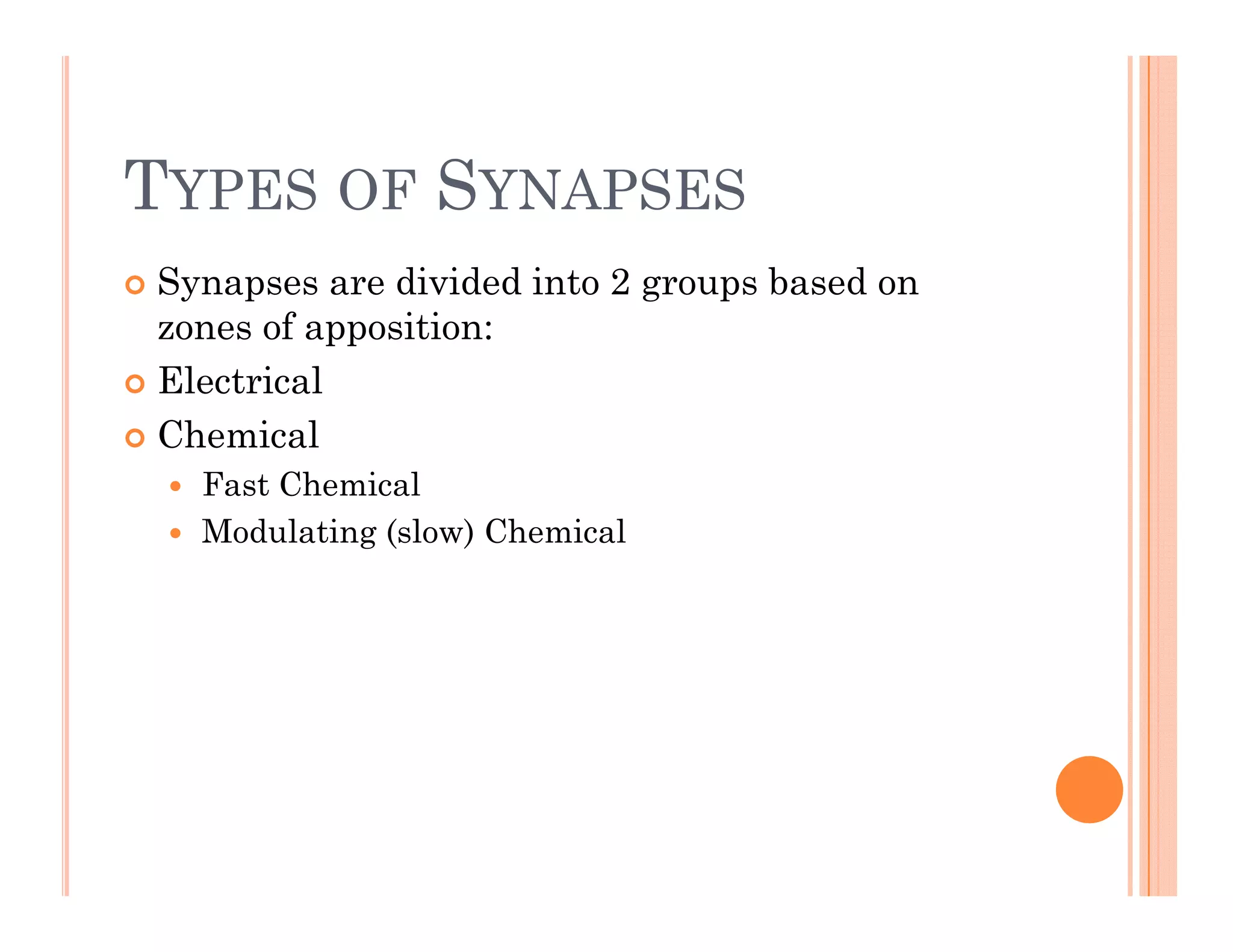 TYPES OF SYNAPSES
TYPES OF SYNAPSES
 Synapses are divided into 2 groups based on
y p g p
zones of apposition:
 Electrical
 Chemical
 Fast Chemical
 Modulating (slow) Chemical
 Modulating (slow) Chemical
 