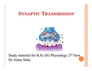 SYNAPTIC TRANSMISSION
SYNAPTIC TRANSMISSION
Study material for B.Sc (H) Physiology 2nd Sem
Dr Atanu Saha
 