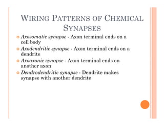 WIRING PATTERNS OF CHEMICAL
SYNAPSES
 Axosomatic synapse - Axon terminal ends on a
y p
cell body
 Axodendritic synapse - Axon terminal ends on a
dendrite
dendrite
 Axoaxonic synapse - Axon terminal ends on
another axon
D d d d i i D d it k
 Dendrodendritic synapse - Dendrite makes
synapse with another dendrite
 