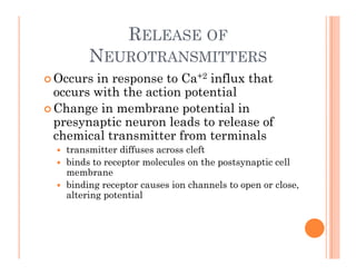 RELEASE OF
N
NEUROTRANSMITTERS
 Occurs in response to Ca+2 influx that
occurs with the action potential
 Change in membrane potential in
e a tic e o lead to elea e of
presynaptic neuron leads to release of
chemical transmitter from terminals
 transmitter diffuses across cleft
 binds to receptor molecules on the postsynaptic cell
membrane
 binding receptor causes ion channels to open or close,
g p p ,
altering potential
 