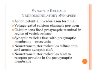 SYNAPTIC RELEASE
NEUROMODULATORY SYNAPSES
 Action potential invades axon terminal
 Voltage-gated calcium channels pop open
 Calcium ions flood presynaptic terminal in
i f i l l
region of vesicle release
 Synaptic vesicles fuse with presynaptic
membrane exocytosis
membrane – exocytosis
 Neurotransmitter molecules diffuse into
and across synaptic cleft
y p
 Neurotransmitter molecules bind to
receptor proteins in the postsynaptic
b
membrane
 