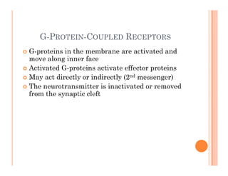 G-PROTEIN-COUPLED RECEPTORS
 G-proteins in the membrane are activated and
p
move along inner face
 Activated G-proteins activate effector proteins
 May act directly or indirectly (2nd messenger)
 May act directly or indirectly (2nd messenger)
 The neurotransmitter is inactivated or removed
from the synaptic cleft
 