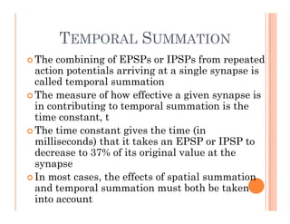 TEMPORAL SUMMATION
TEMPORAL SUMMATION
 The combining of EPSPs or IPSPs from repeated
action potentials arriving at a single synapse is
action potentials arriving at a single synapse is
called temporal summation
 The measure of how effective a given synapse is
 The measure of how effective a given synapse is
in contributing to temporal summation is the
time constant, t
 The time constant gives the time (in
milliseconds) that it takes an EPSP or IPSP to
decrease to 37% of its original value at the
decrease to 37% of its original value at the
synapse
 In most cases, the effects of spatial summation
and temporal summation must both be taken
into account
 