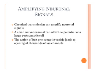 AMPLIFYING NEURONAL
SIGNALS
SIGNALS
 Chemical transmission can amplify neuronal
signals
 A small nerve terminal can alter the potential of a
 A small nerve terminal can alter the potential of a
large postsynaptic cell
 The action of just one synaptic vesicle leads to
j y p
opening of thousands of ion channels
 