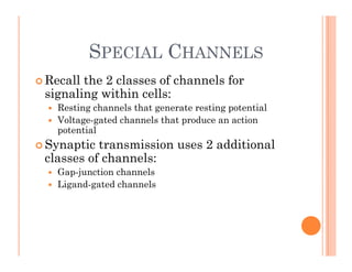 SPECIAL CHANNELS
SPECIAL CHANNELS
 Recall the 2 classes of channels for
signaling within cells:
 Resting channels that generate resting potential
Voltage gated channels that produce an action
 Voltage-gated channels that produce an action
potential
 Synaptic transmission uses 2 additional
l f h l
classes of channels:
 Gap-junction channels
 Ligand-gated channels
Ligand gated channels
 