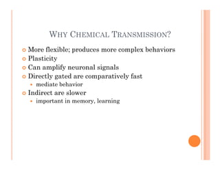 W C T ?
WHY CHEMICAL TRANSMISSION?
 More flexible; produces more complex behaviors
; p p
 Plasticity
 Can amplify neuro...