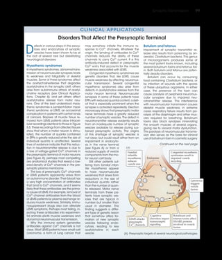 Synaptic transmission - Dale Purves et al. (eds.) - Neuroscience (2018 ...