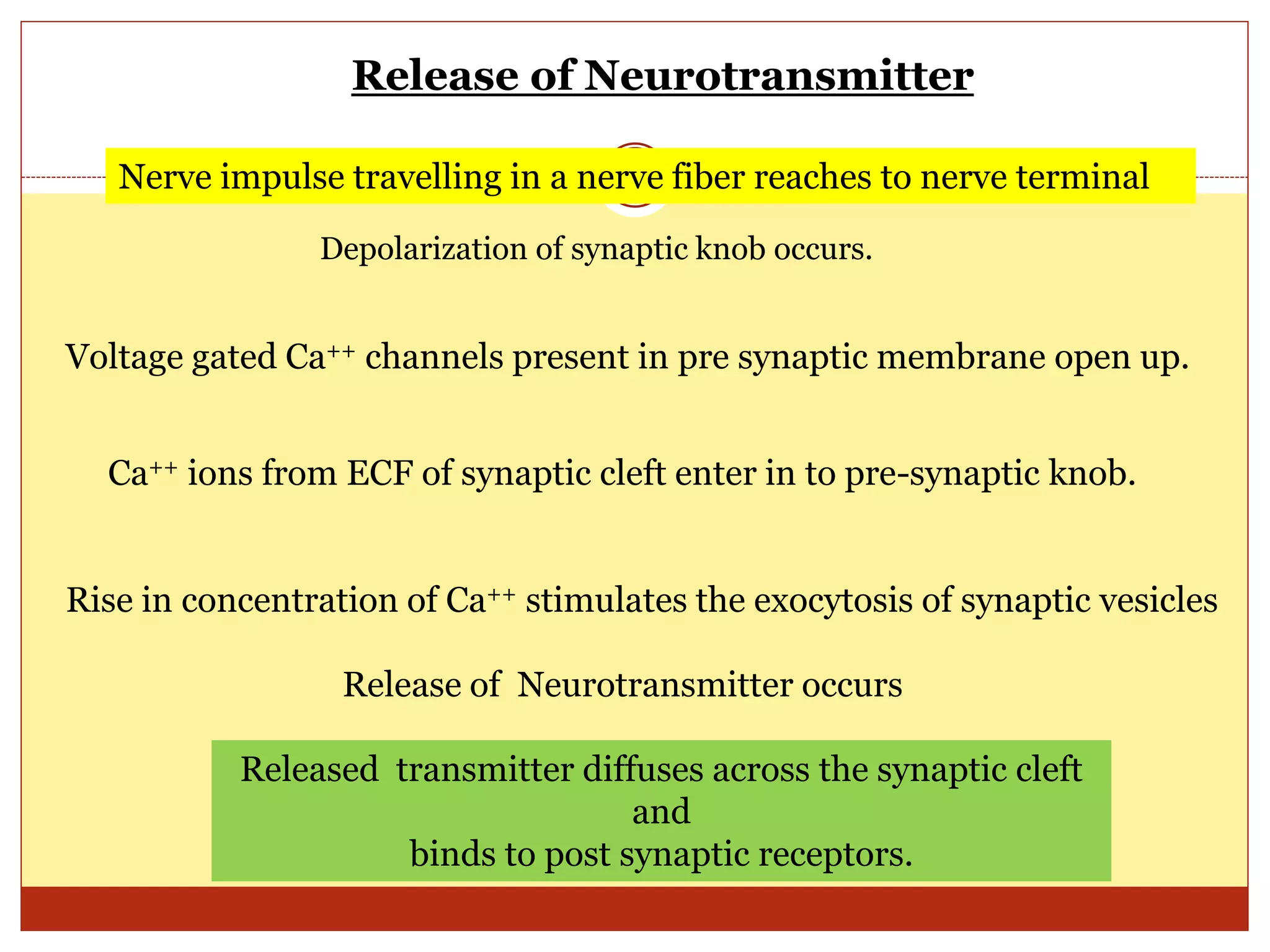 Synaptic transmission i | PPTX