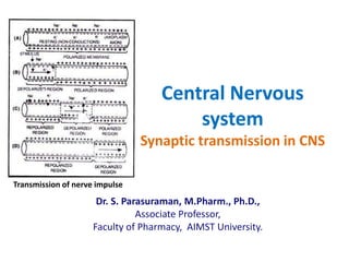 Central Nervous
system
Synaptic transmission in CNS
Dr. S. Parasuraman, M.Pharm., Ph.D.,
Associate Professor,
Faculty of Pharmacy, AIMST University.
Transmission of nerve impulse
 