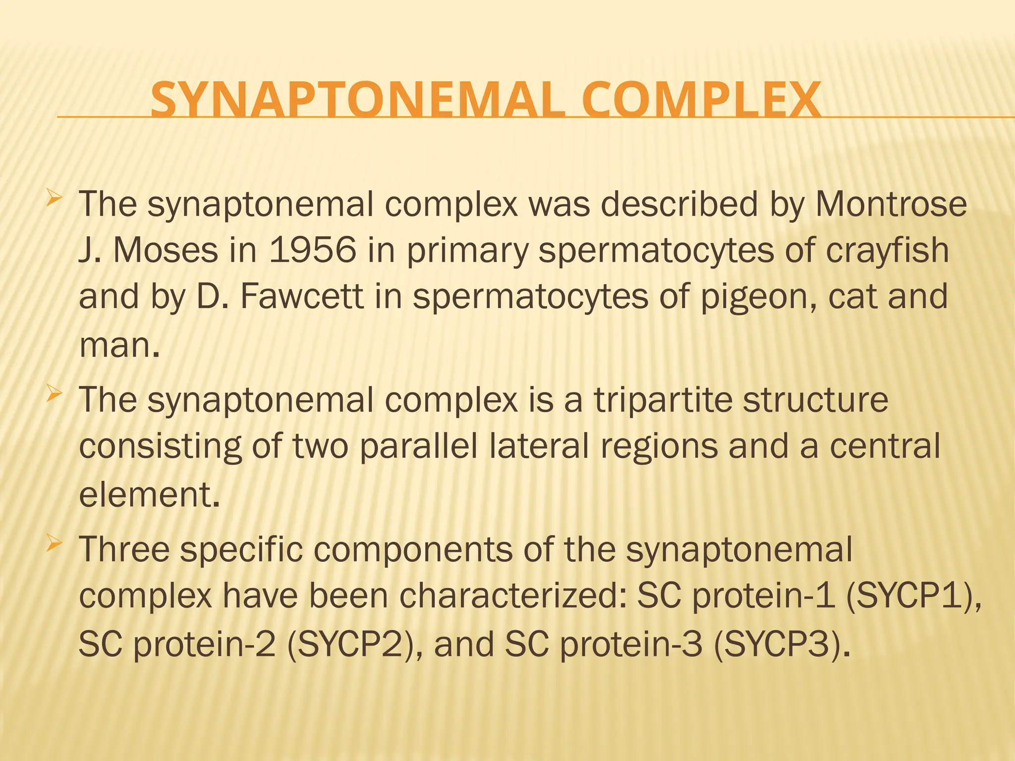 SYNAPTONEMAL COMPLEX
 The synaptonemal complex was described by Montrose
J. Moses in 1956 in primary spermatocytes of crayfish
and by D. Fawcett in spermatocytes of pigeon, cat and
man.
 The synaptonemal complex is a tripartite structure
consisting of two parallel lateral regions and a central
element.
 Three specific components of the synaptonemal
complex have been characterized: SC protein-1 (SYCP1),
SC protein-2 (SYCP2), and SC protein-3 (SYCP3).
 