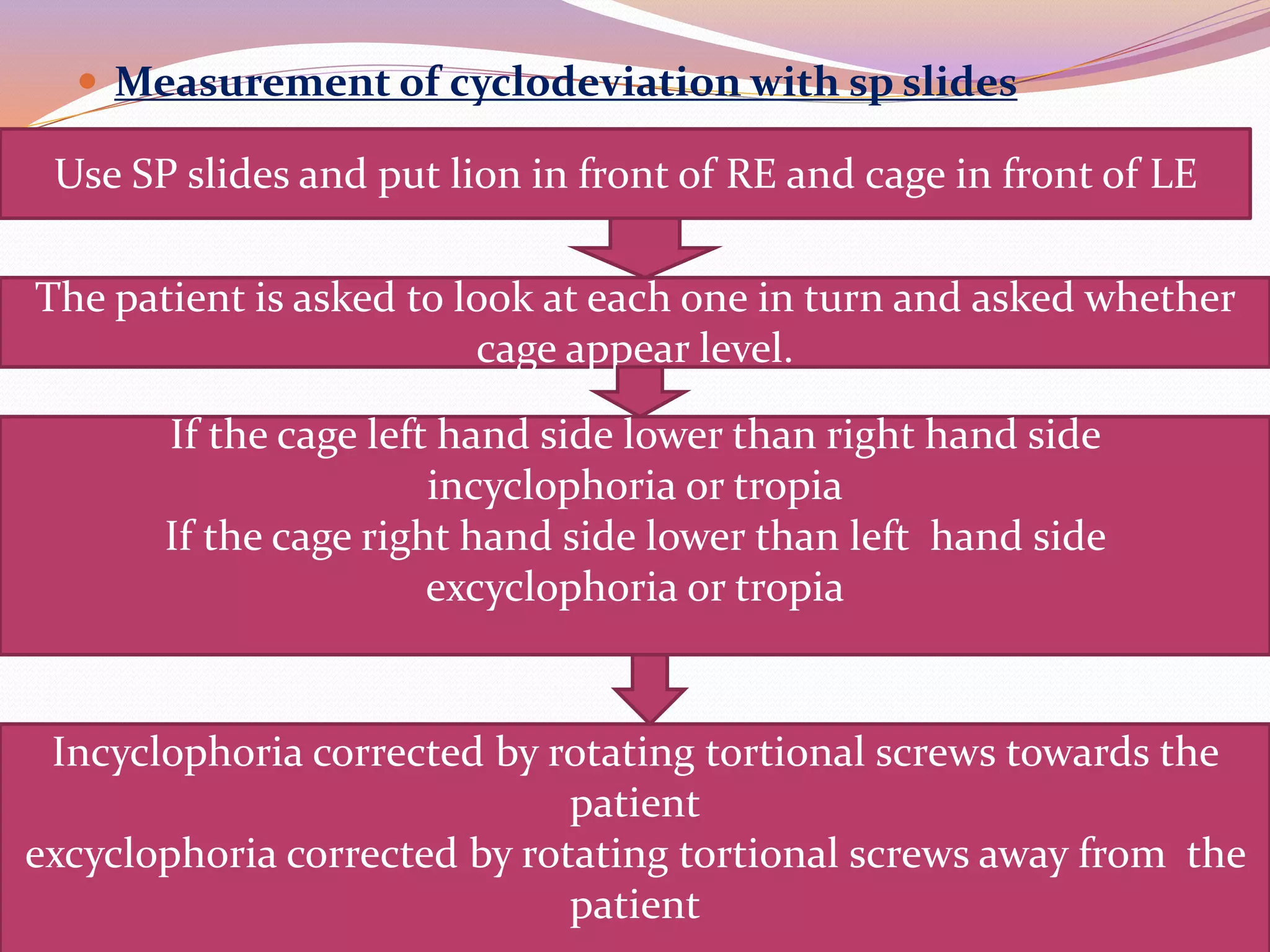 Synaptophore PPTX Synaptophore pptx